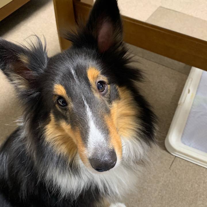 6476addc 3033 4466 ad40 134aaf9ec955 1579730221908