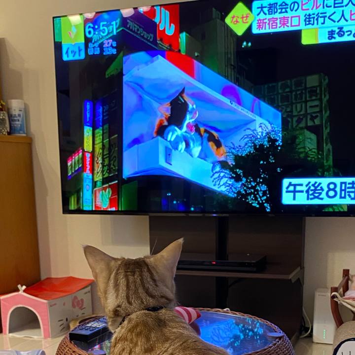 6476c4e0 5942 436c 94a6 deca66397b22 1625651616392