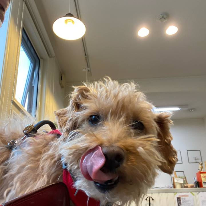 6476d1ed 300e 4657 9213 c17e0e71d641 1681377284920