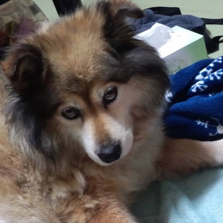 647759ec 4cff 41ef ae09 542e024e0ad4 1570390203953