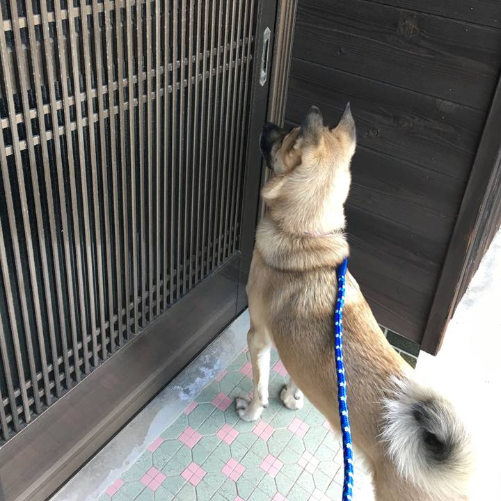 647788d5 6a21 4265 8c8a cc4dafcf1b1b 1514895483410