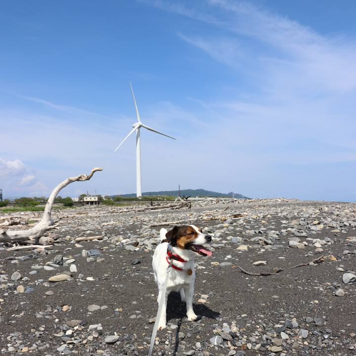 6477de09 395a 41cf 85ea 8f5091ab1be6 1557052398662