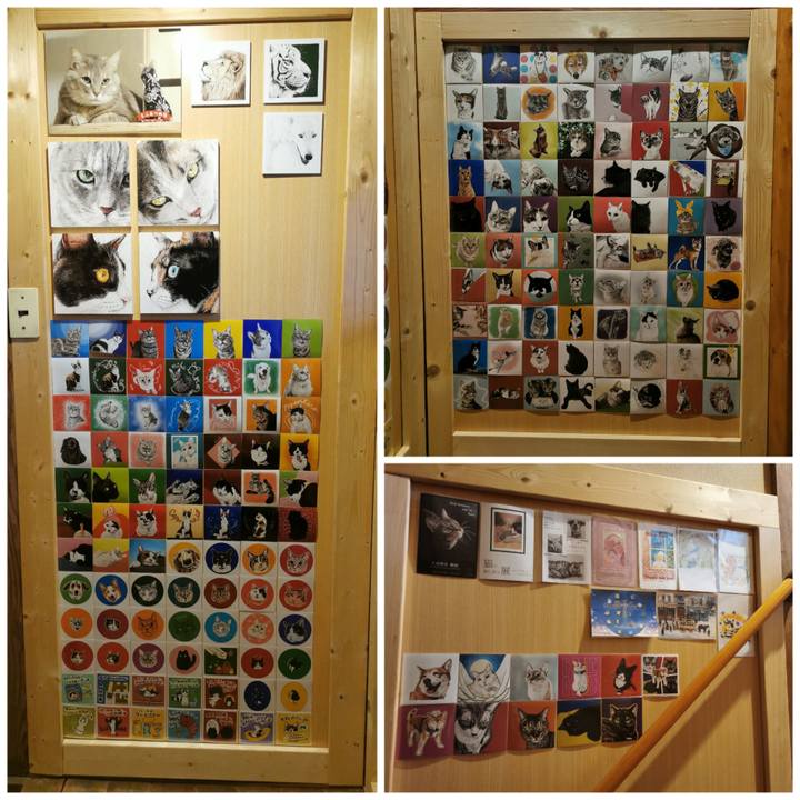 6477fef3 40d5 44b6 af0d 45788893341f 1683383817938