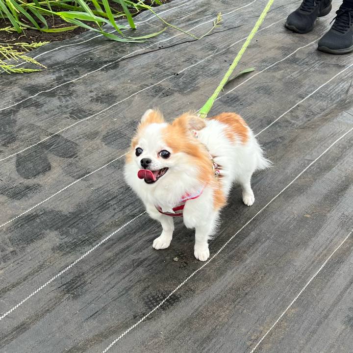 64781ce4 e8b8 493f a1cc f8b1013a79c3 1660360308995