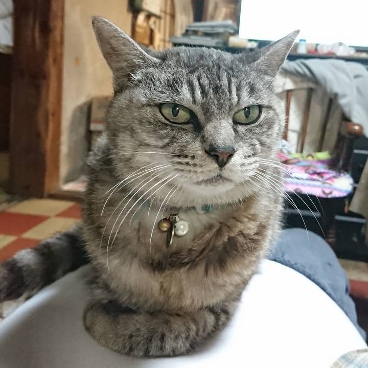 6478293a 6a47 4e24 bd50 375237a0031b 1570015228709