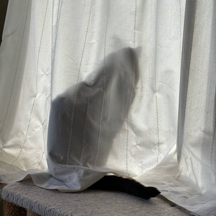 64782e63 b123 41bd ac84 e0041dbd7746 1703724258795