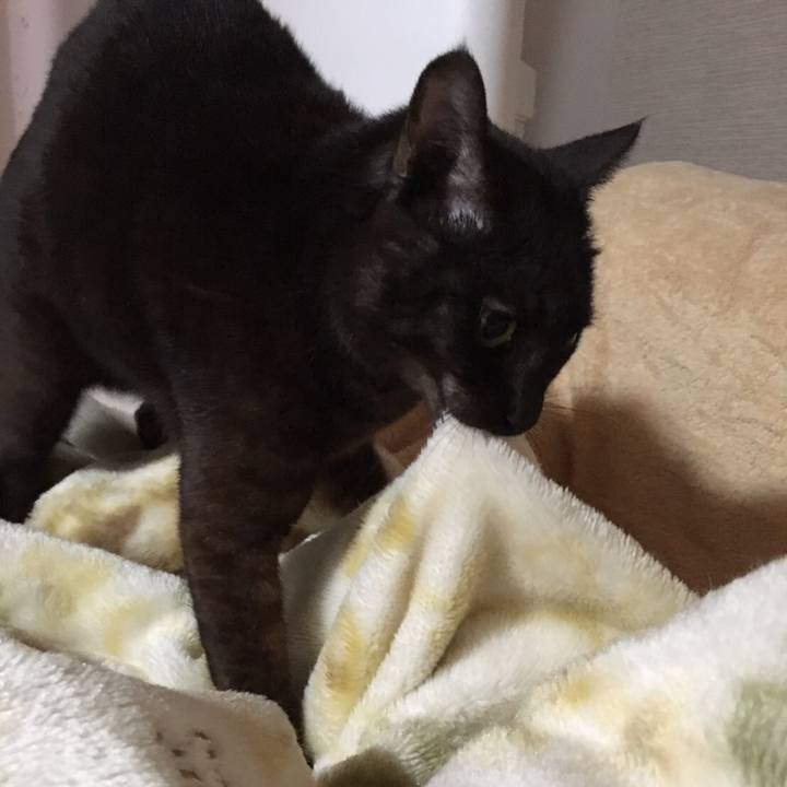 647836ac b7be 47ae 9990 6f09a6bddcea 1508844232431