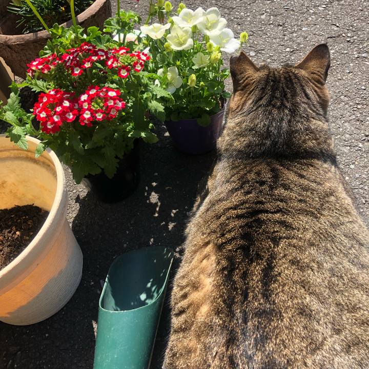 64784bd9 9c74 4605 acd8 7119f6ded3d4 1552729633308