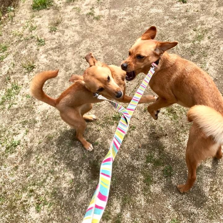 64785e47 2128 4619 a08c 818165d6f39f 1528332386793