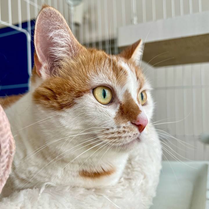 64788b3f a96e 496e 8bb7 42ff0d28dee3 1757392813968