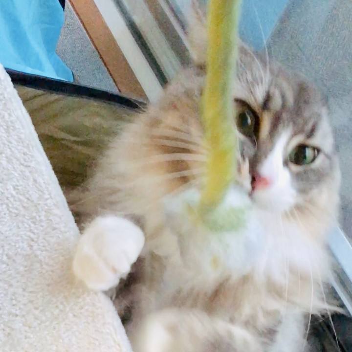 64788e6c 4f82 48a0 a34b 7e30e3a2f40c 1576553362521