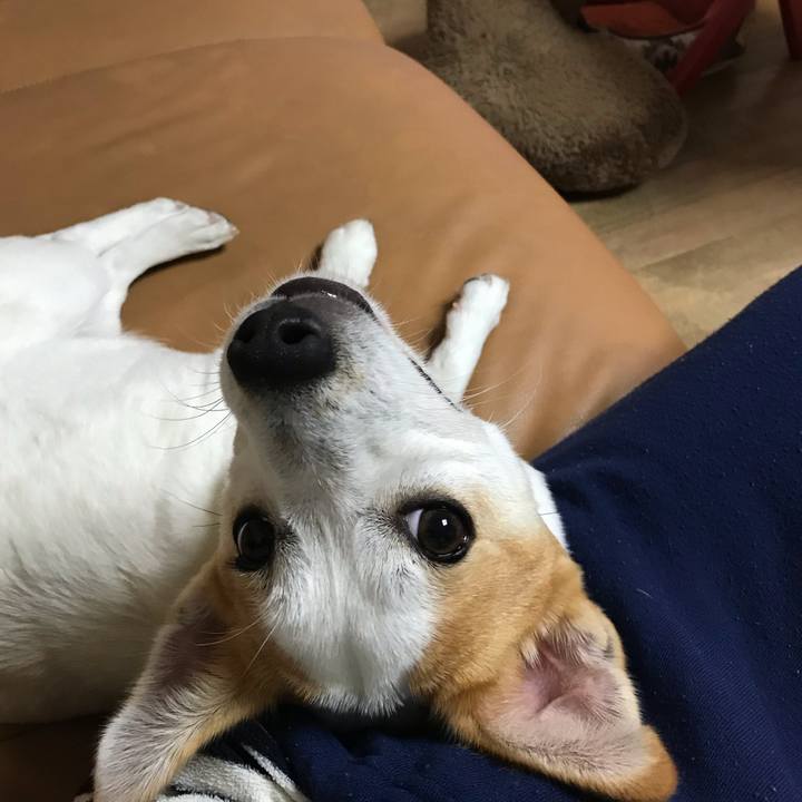 6478d792 ee5f 4b1a afe6 4aed66abbea3 1555944238548