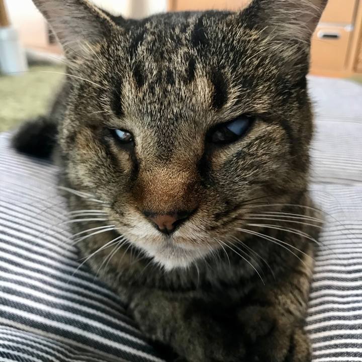 6478f884 2e19 4ba0 bc0f 6687a1b8d4ff 1592602853926