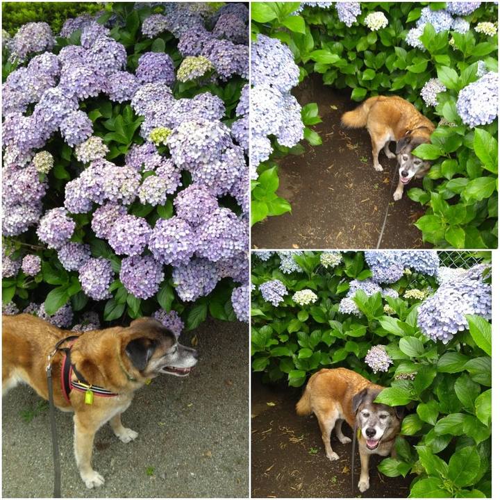 647901af e4bb 409c bb4f 0c46e40620e9 1561071640163