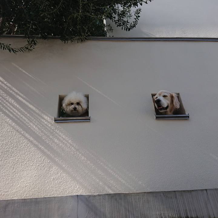 64790993 3afa 4a2d 9b33 5ceb00476206 1555933784473