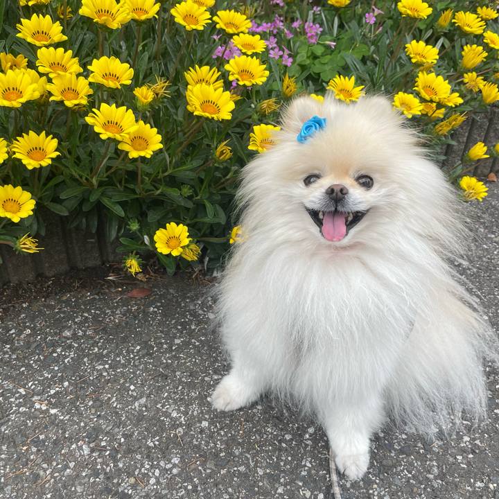 647930cc e3a2 4148 a6e1 fda90178d654 1715140074122