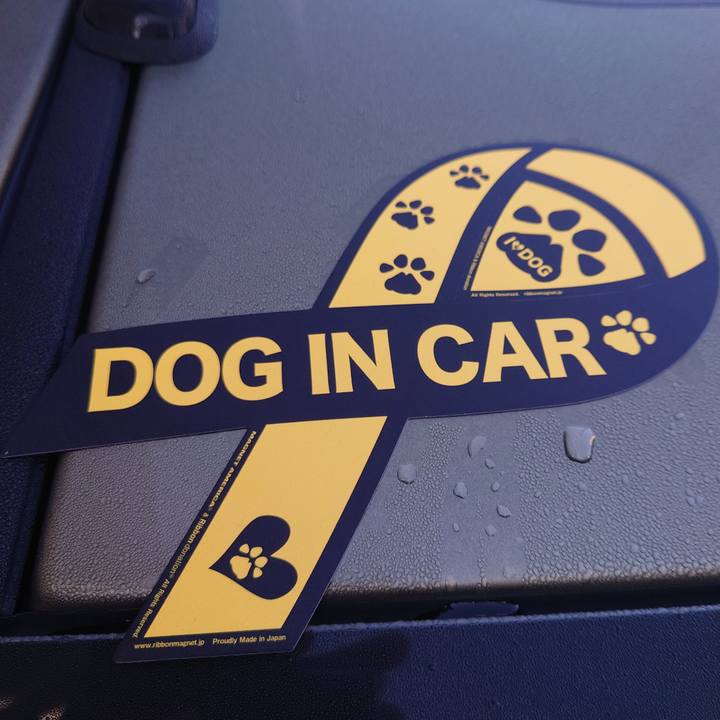 647931fb cc4e 4fa9 8245 71f99e001f1c 1764584916329