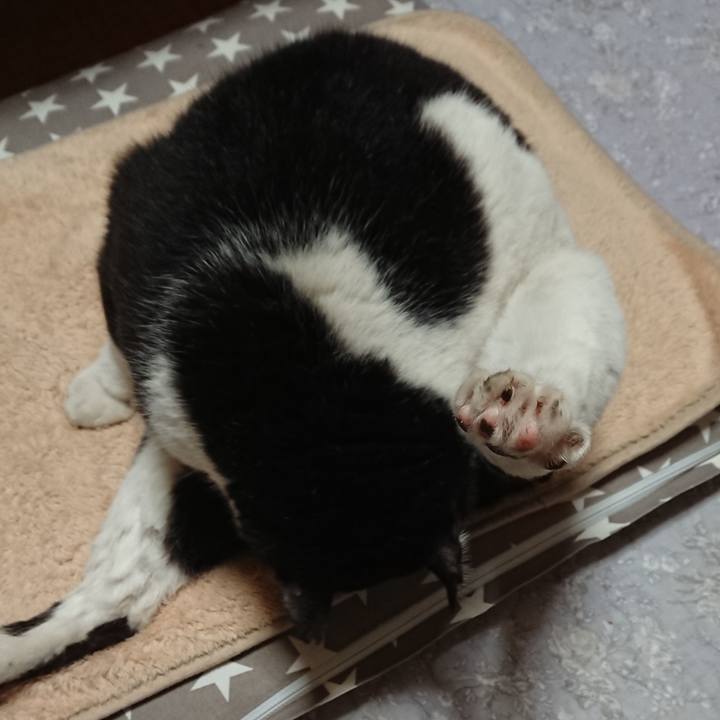 64795655 a39e 4669 872d 1e0951bfd169 1650014343894