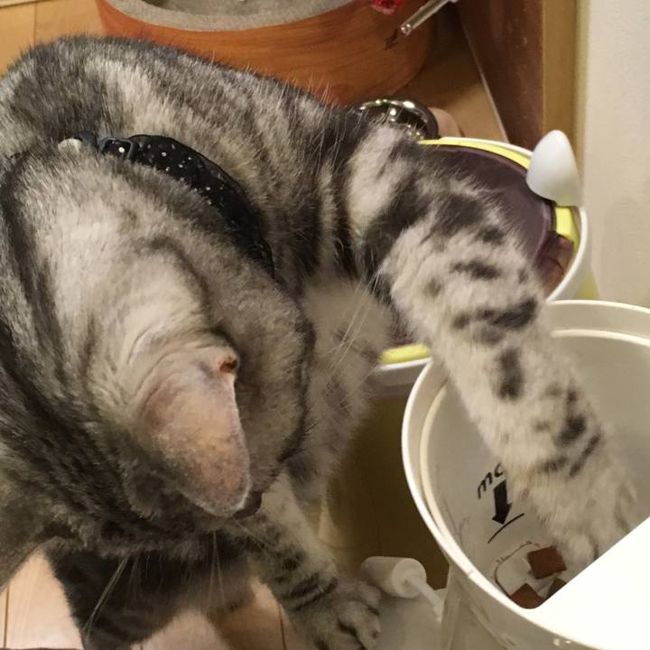 64795e11 bbb2 41ac a34b efaff7040b04 1508676247434