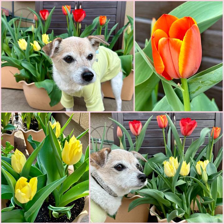 6479a49a ff24 42a2 bb4f aa03ade99305 1744170312373