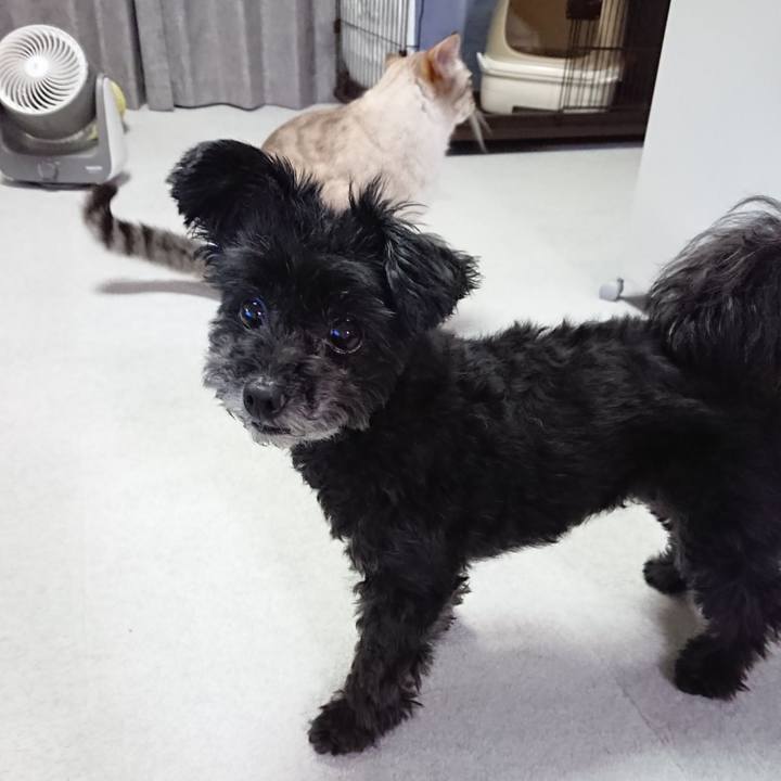 647a0e64 0deb 4675 b75c 1390604c4d5f 1591353552712