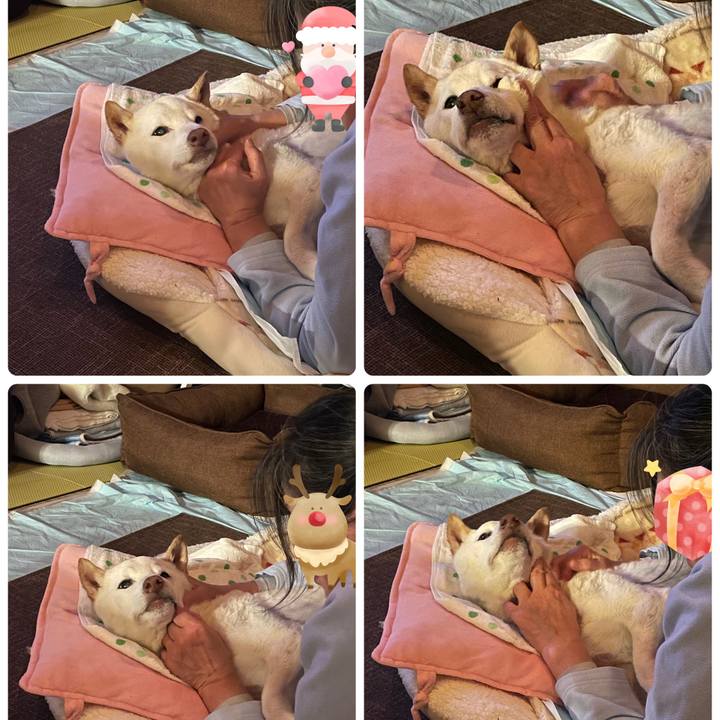 647a1dd4 c534 4e6f ac36 31b8dbd425c9 1671553323872