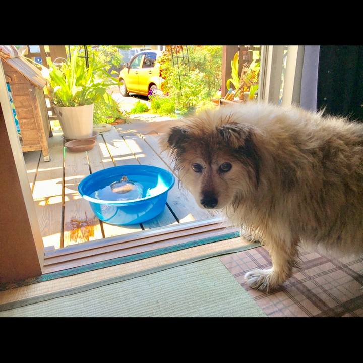 647a45c4 fa8a 4698 a363 a4bf328082ee 1644657506804