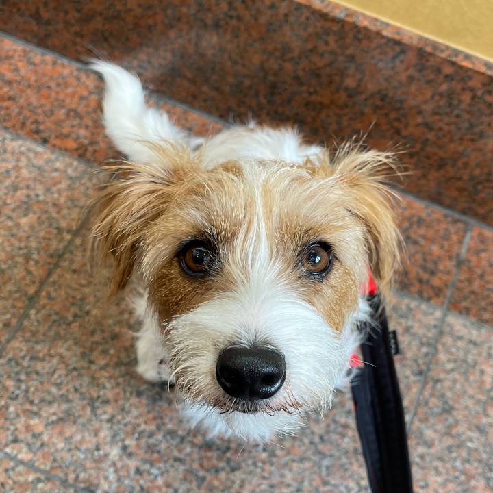 647ac469 63d7 402d a2e6 400f2640d138 1771921134561