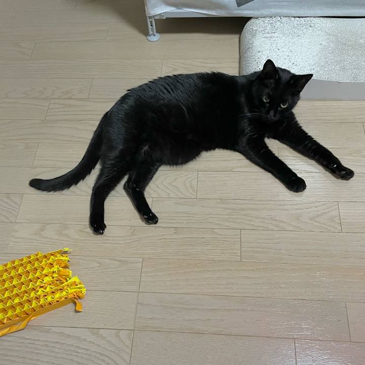 647ac9b8 d641 447f 875a b77a94c1430f 1738588848279