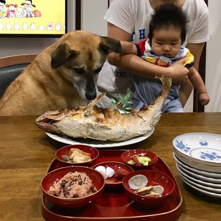 647ae4a2 d682 4f1a 85e8 651599370fef 1535191339382