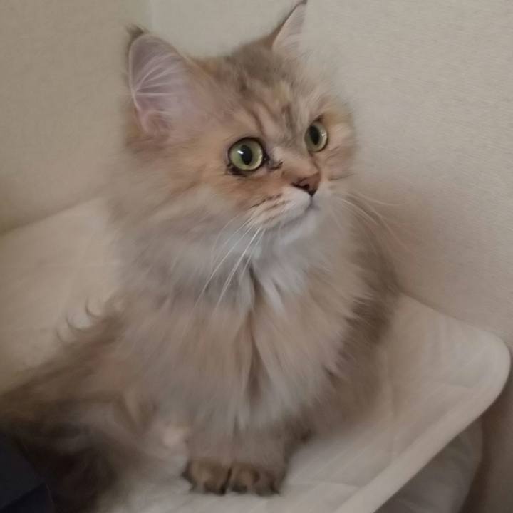 647b4e7a cf18 4f5f b549 1194be56f27d 1631497336994