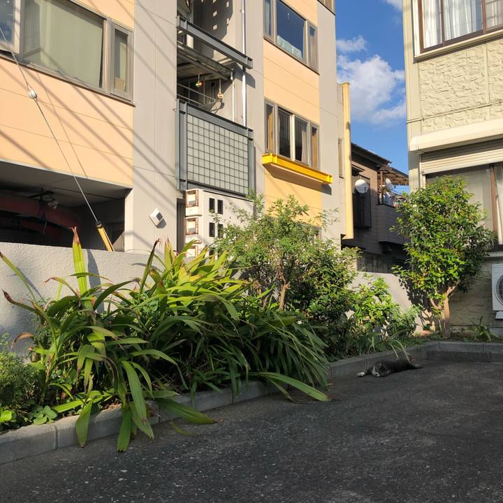 647b6a73 0d66 4600 b0ec 6b21ffbebeb8 1569073194266