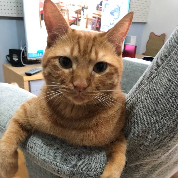 647b73be b9d5 4c51 9531 e2e882c466e9 1562627055003