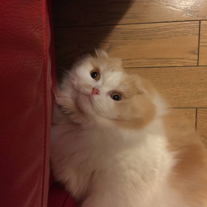 647bde0e 8742 4883 87e6 012424c4504a 1522930808254