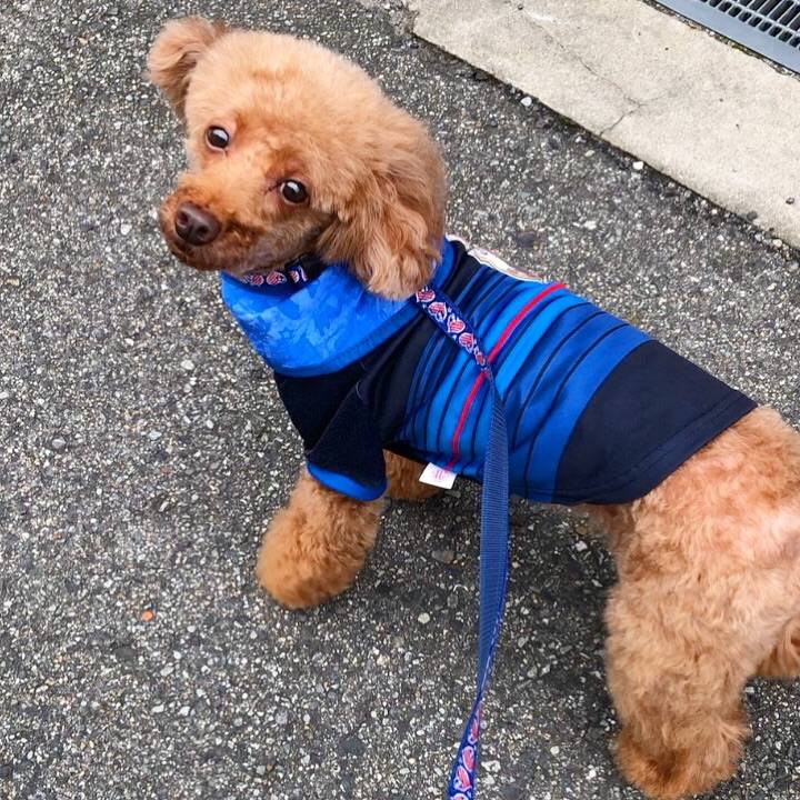 647bdf97 98a2 4493 9d98 812dc31b5ecf 1595837701088