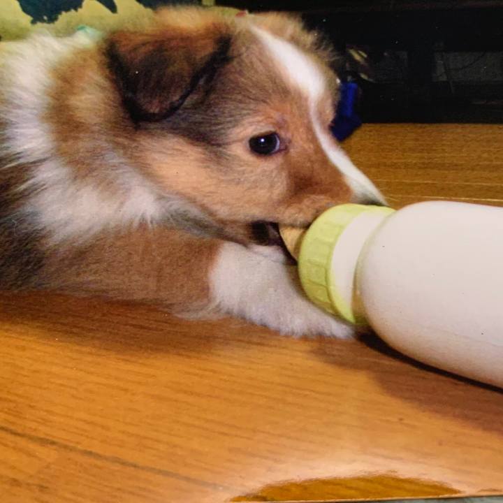 647bfcd5 17a1 41d1 8040 26740f9137f9 1592823375478