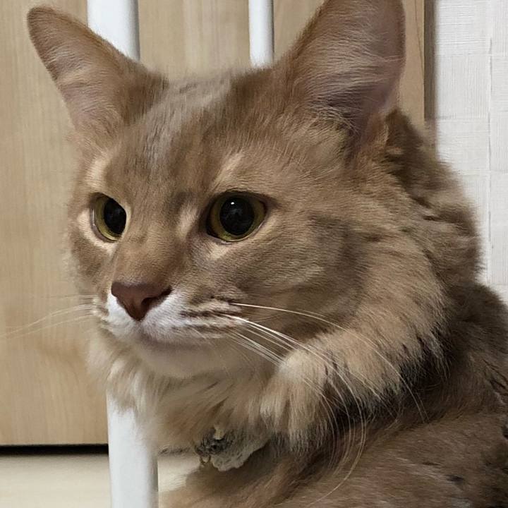 647c3710 9753 4eda 9d57 22f0ba87e7b7 1653101367852