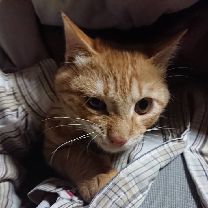 647c4134 333b 43ca b429 3366fb9f4fce 1638045394750