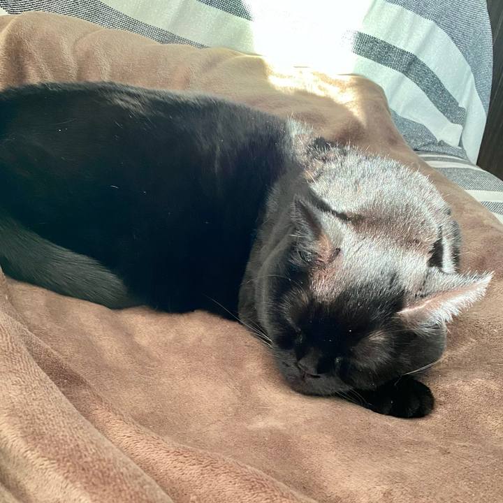 647c41c3 02cc 4970 b391 e923ff06dd31 1773129578765