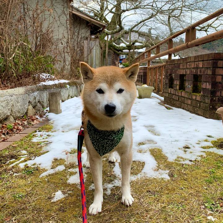 647c64d6 396e 4d89 bca9 2e1f926f47a1 1675238598439