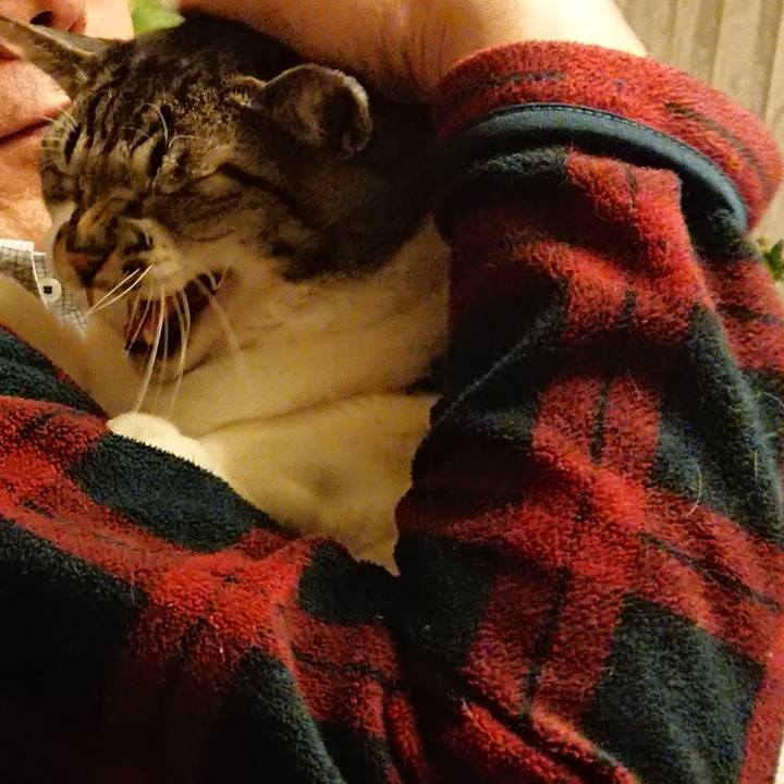 647c6628 11e7 43af b3dc ba03666dcc38 1580516595032