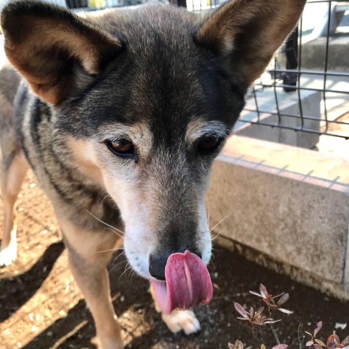 647c7f76 49ab 46b0 9b19 80a6f8e090e2 1520045361705