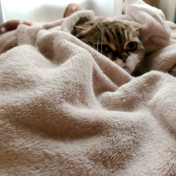 647c8b6b 822e 4148 9182 379d9a51a37b 1572698080954