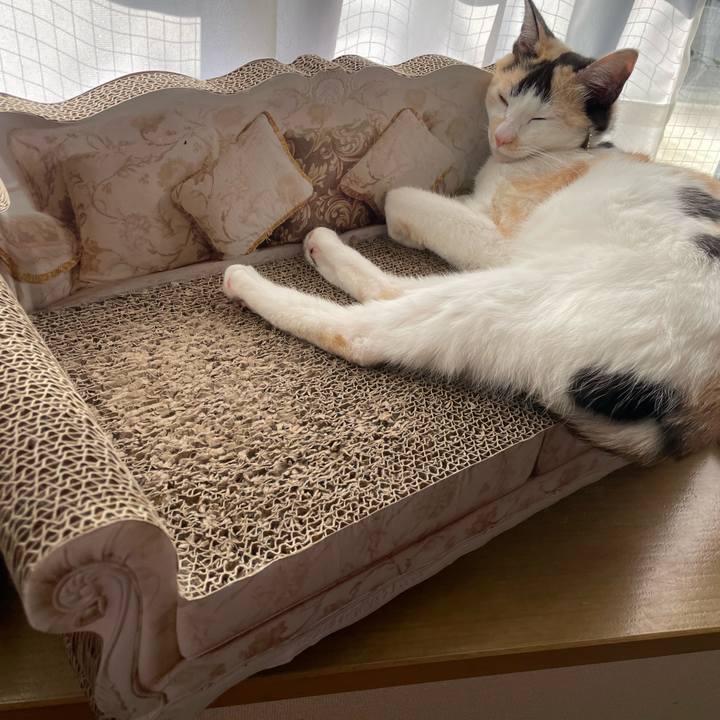 647caa9b 8b71 436d 8057 5b20affa7ea9 1677886791881