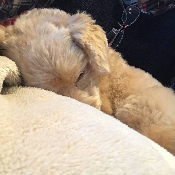 647cab2b d3fe 44ce ab04 276154c4aabd 1509249496263