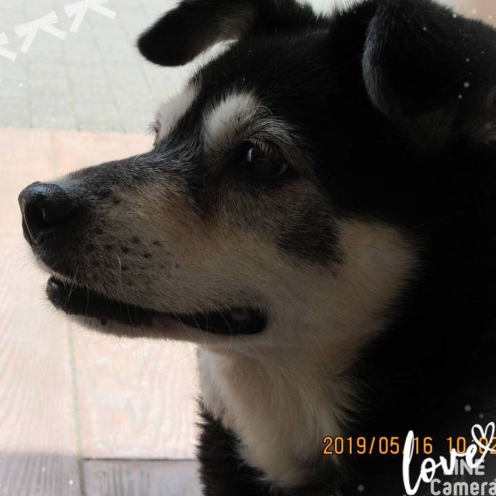 647ce553 4309 4a83 9ec2 f30dd4cd6249 1758932371126