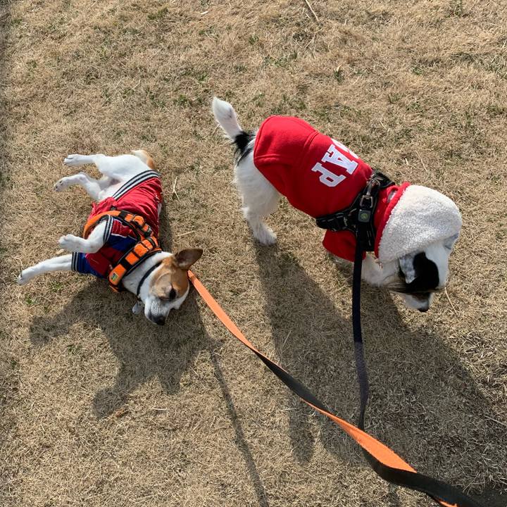 647cfd7d 4ff2 482d b3fa 287c4665ca4f 1643419366999