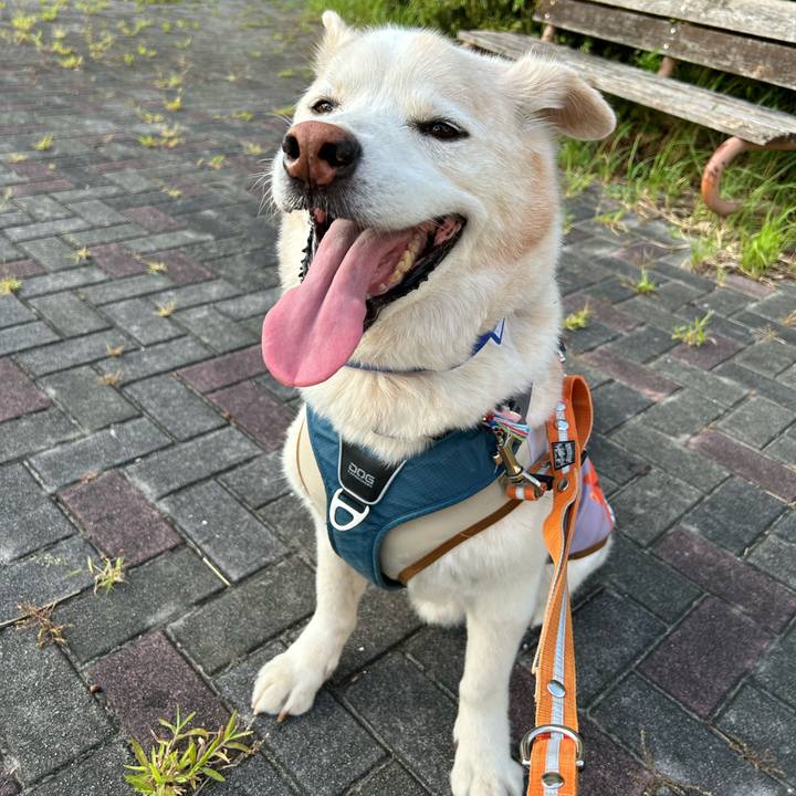 647d096d 8ac0 4cb2 b1f9 8f7d03039219 1722342655207