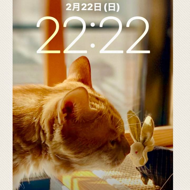 647d5e29 4787 4902 8e7e a986ee64169c 1771768437629