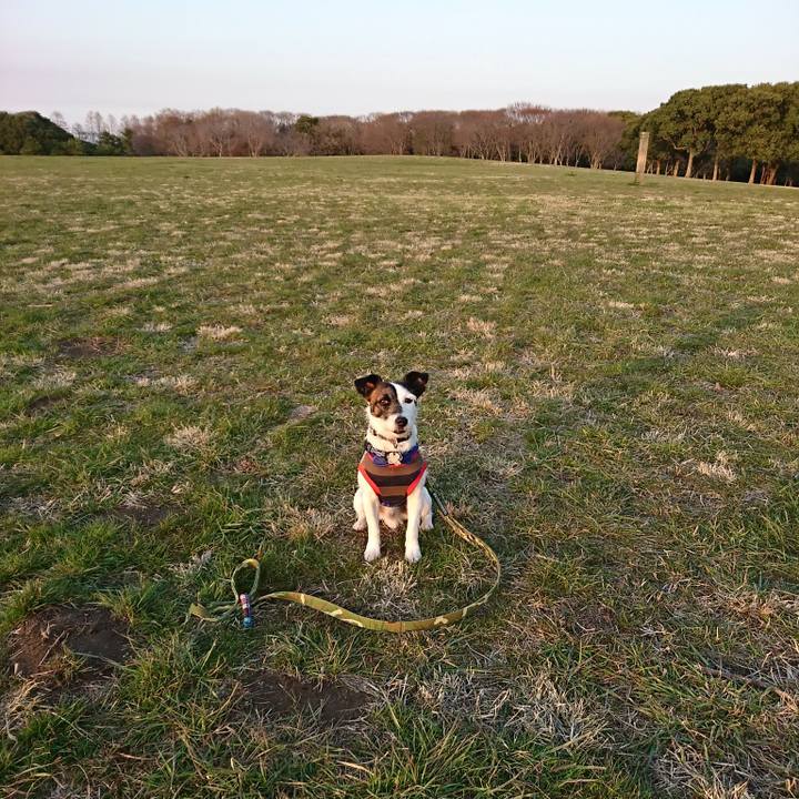 647d6d76 8304 4adf b654 f5e3aa26afdf 1521275091694